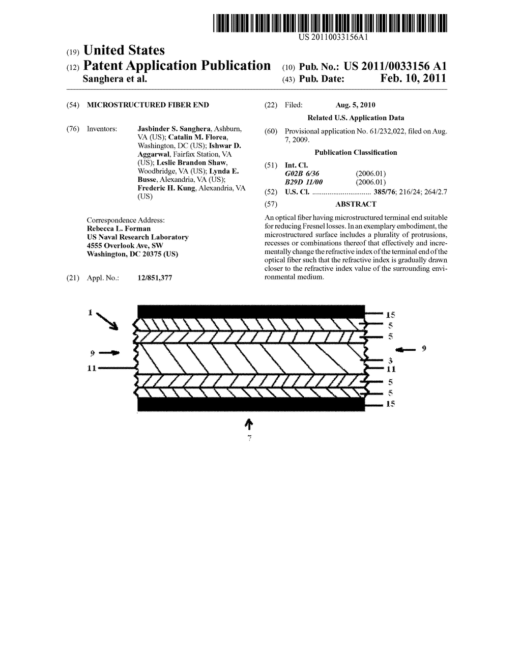 Microstructured Fiber End - diagram, schematic, and image 01