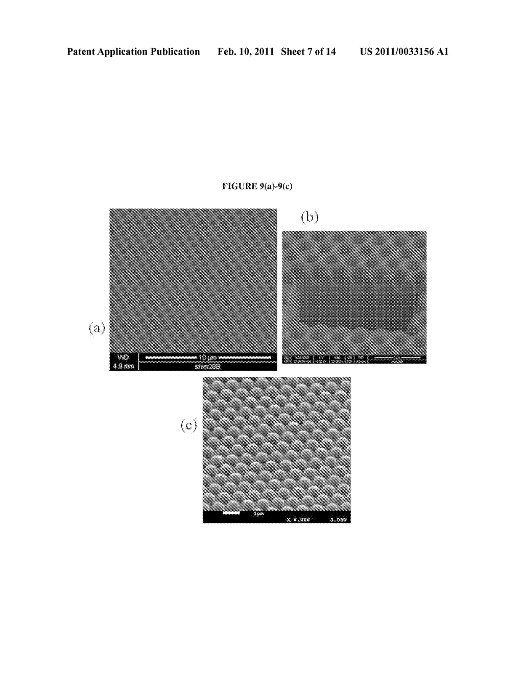 Microstructured Fiber End - diagram, schematic, and image 08