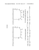 COMPOUNDS AND METHODS FOR USE IN DIAGNOSING AND TREATING MELANOMA, INCLUDING METASTATIC MELANOMA AND METHODS RELATED TO SAME diagram and image