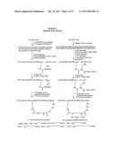 COMPOUNDS AND METHODS FOR USE IN DIAGNOSING AND TREATING MELANOMA, INCLUDING METASTATIC MELANOMA AND METHODS RELATED TO SAME diagram and image