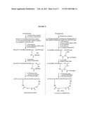 COMPOUNDS AND METHODS FOR USE IN DIAGNOSING AND TREATING MELANOMA, INCLUDING METASTATIC MELANOMA AND METHODS RELATED TO SAME diagram and image