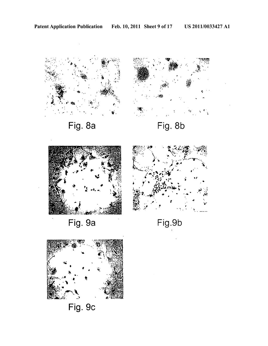 Expansion Of Renewable Stem Cell Populations - diagram, schematic, and image 10