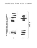 CULTURED THREE-DIMENSIONAL TISSUES AND USES THEREOF diagram and image