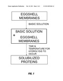 NOVEL PROCESS FOR SOLUBILIZING PROTEIN FROM A PROTEINACEOUS MATERIAL AND COMPOSITIONS THEREOF diagram and image