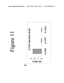 INTERLEUKIN-17F ANTIBODIES AND OTHER IL-17F SIGNALING ANTAGONISTS AND USES THEREFOR diagram and image