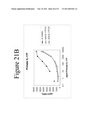 INTERLEUKIN-17F ANTIBODIES AND OTHER IL-17F SIGNALING ANTAGONISTS AND USES THEREFOR diagram and image