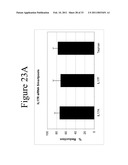 INTERLEUKIN-17F ANTIBODIES AND OTHER IL-17F SIGNALING ANTAGONISTS AND USES THEREFOR diagram and image