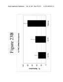 INTERLEUKIN-17F ANTIBODIES AND OTHER IL-17F SIGNALING ANTAGONISTS AND USES THEREFOR diagram and image