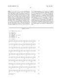 INTERLEUKIN-17F ANTIBODIES AND OTHER IL-17F SIGNALING ANTAGONISTS AND USES THEREFOR diagram and image