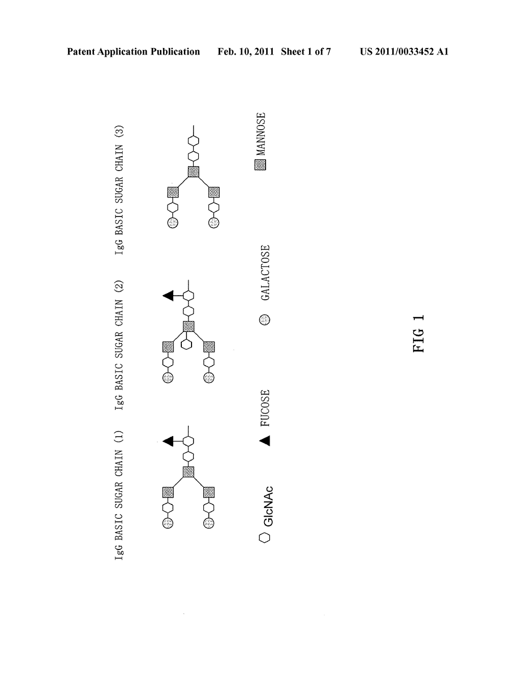 Anti-Glypican 3 Antibody Having Modified Sugar Chain - diagram, schematic, and image 02