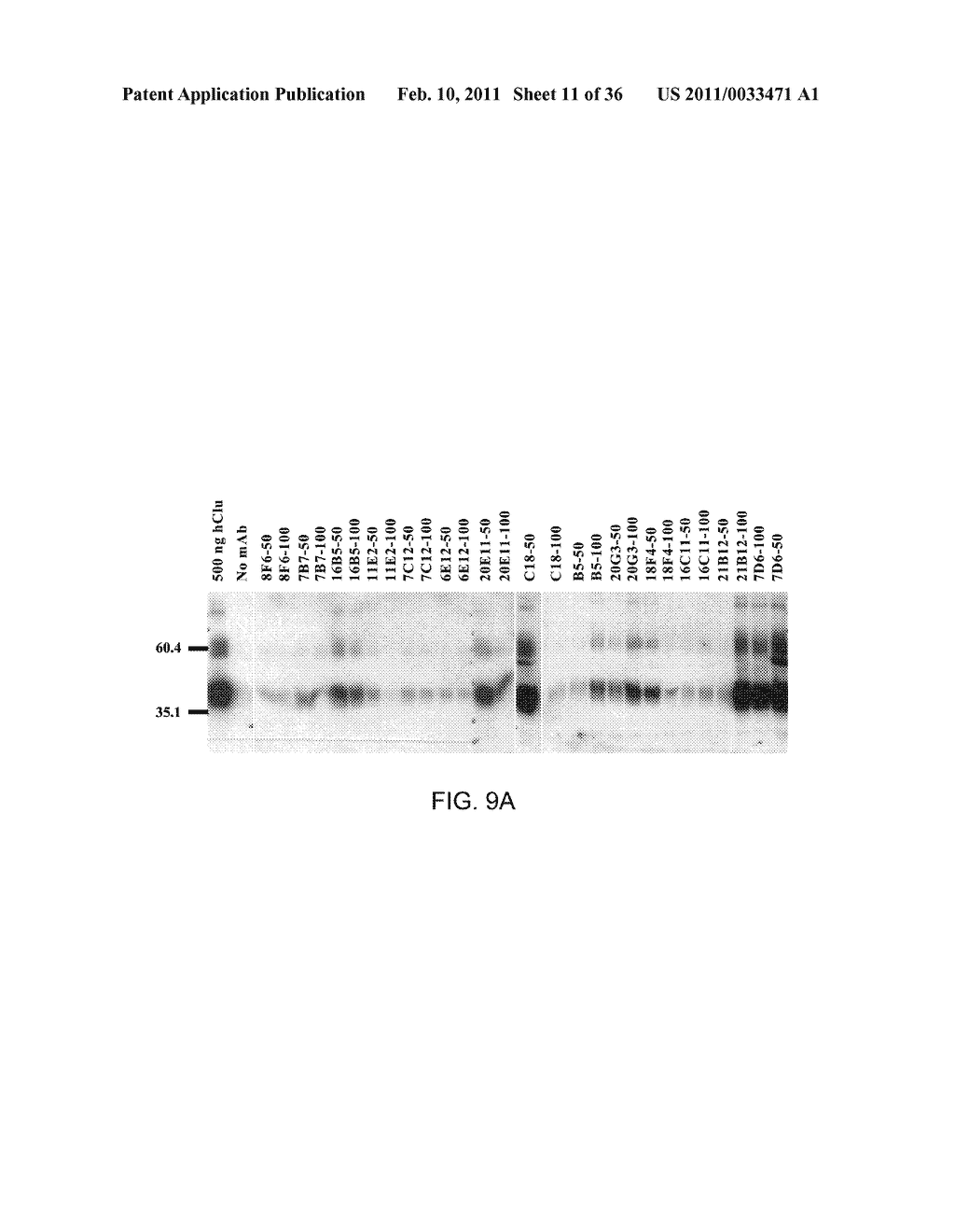 METHODS AND COMPOSITIONS FOR MODULATING TUMOR CELL ACTIVITY - diagram, schematic, and image 12