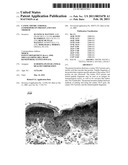 CANINE THYMIC STROMAL LYMPHOPOIETIN PROTEIN AND USES THEREOF diagram and image