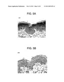 CANINE THYMIC STROMAL LYMPHOPOIETIN PROTEIN AND USES THEREOF diagram and image