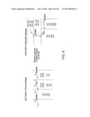 COMPOSITIONS AND METHODS FOR DIAGNOSING AND/OR TREATING INFLUENZA INFECTION diagram and image