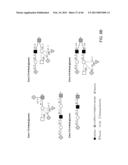 COMPOSITIONS AND METHODS FOR DIAGNOSING AND/OR TREATING INFLUENZA INFECTION diagram and image