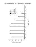 COMPOSITIONS AND METHODS FOR DIAGNOSING AND/OR TREATING INFLUENZA INFECTION diagram and image