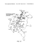 COMPOSITIONS AND METHODS FOR DIAGNOSING AND/OR TREATING INFLUENZA INFECTION diagram and image