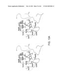 COMPOSITIONS AND METHODS FOR DIAGNOSING AND/OR TREATING INFLUENZA INFECTION diagram and image