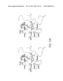 COMPOSITIONS AND METHODS FOR DIAGNOSING AND/OR TREATING INFLUENZA INFECTION diagram and image