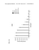 COMPOSITIONS AND METHODS FOR DIAGNOSING AND/OR TREATING INFLUENZA INFECTION diagram and image