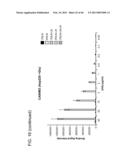 COMPOSITIONS AND METHODS FOR DIAGNOSING AND/OR TREATING INFLUENZA INFECTION diagram and image