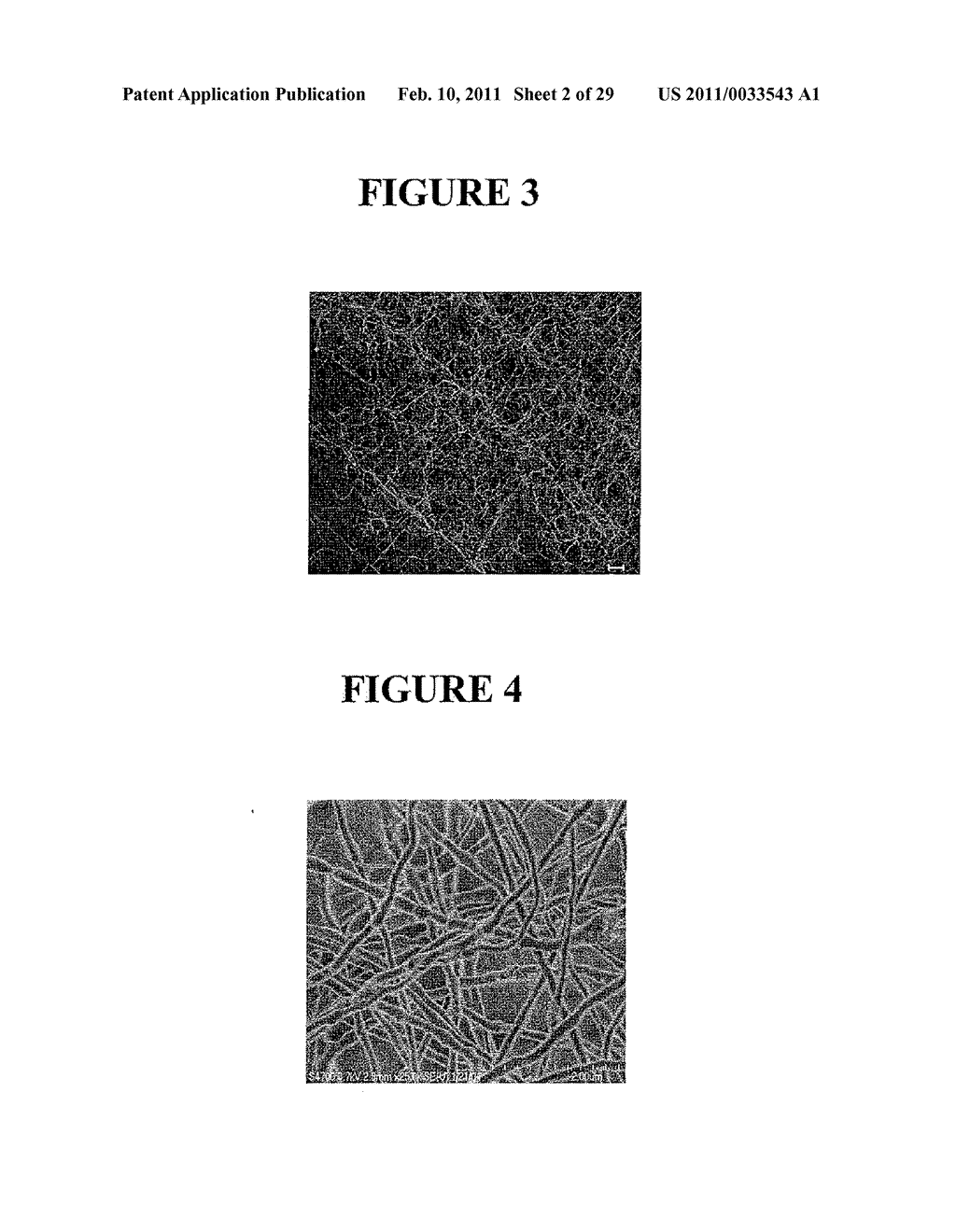 HYDROGELS WITH COVALENT AND NONCOVALENT CROSSLINKS - diagram, schematic, and image 03