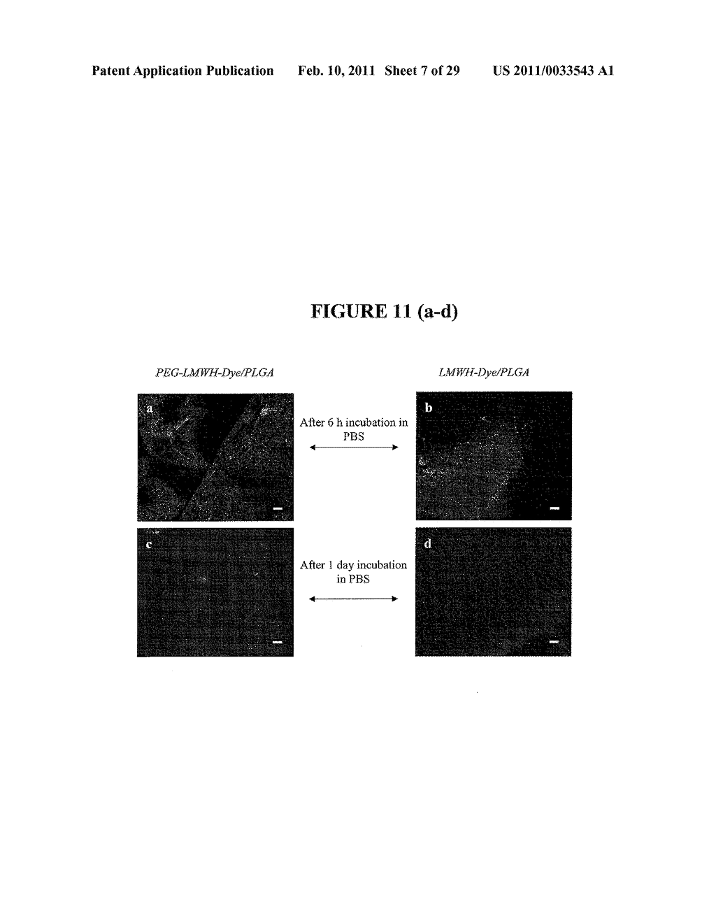 HYDROGELS WITH COVALENT AND NONCOVALENT CROSSLINKS - diagram, schematic, and image 08