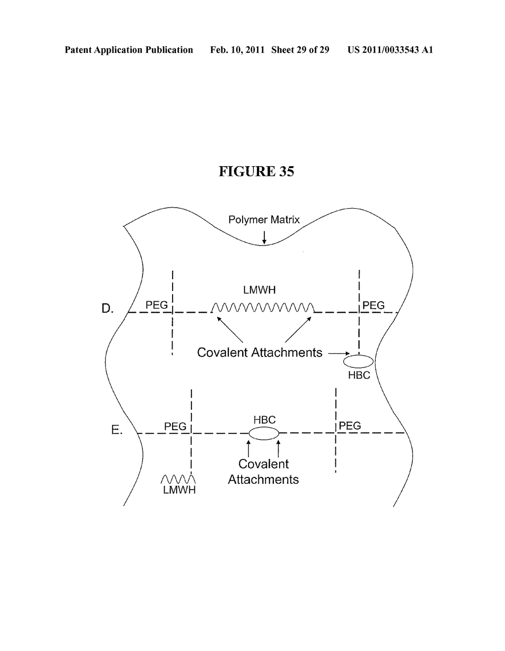 HYDROGELS WITH COVALENT AND NONCOVALENT CROSSLINKS - diagram, schematic, and image 30