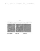 Protective Compositions for Dermal Papilla Cells diagram and image