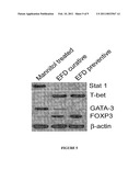 Preparation Comprising Mycobacterium Bovis BCG Killed by Extended Freeze Drying (EFD) for Preventing or Treating Rheumatoid Arthritis diagram and image