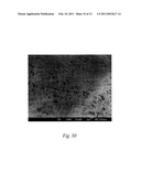 Composite Porous Materials and Methods of Making and Using The Same diagram and image