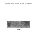 Structures with Three Dimensional Nanofences Comprising Single Crystal Segments diagram and image