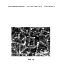 Structures with Three Dimensional Nanofences Comprising Single Crystal Segments diagram and image