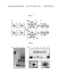 NANOCAPSULES AND METHODS FOR MODULAR ASSEMBLY diagram and image