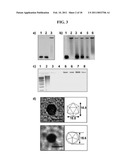 NANOCAPSULES AND METHODS FOR MODULAR ASSEMBLY diagram and image