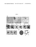 NANOCAPSULES AND METHODS FOR MODULAR ASSEMBLY diagram and image