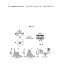 NANOCAPSULES AND METHODS FOR MODULAR ASSEMBLY diagram and image