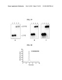 NANOCAPSULES AND METHODS FOR MODULAR ASSEMBLY diagram and image