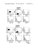 IMMORTALIZED HUMAN CD4-POSITIVE CELL AND ITS USE FOR DETERMINING THE PHENOTYPE OF A HUMAN IMMUNODEFICIENCY VIRUS TYPE 1 diagram and image