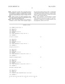 IMMORTALIZED HUMAN CD4-POSITIVE CELL AND ITS USE FOR DETERMINING THE PHENOTYPE OF A HUMAN IMMUNODEFICIENCY VIRUS TYPE 1 diagram and image