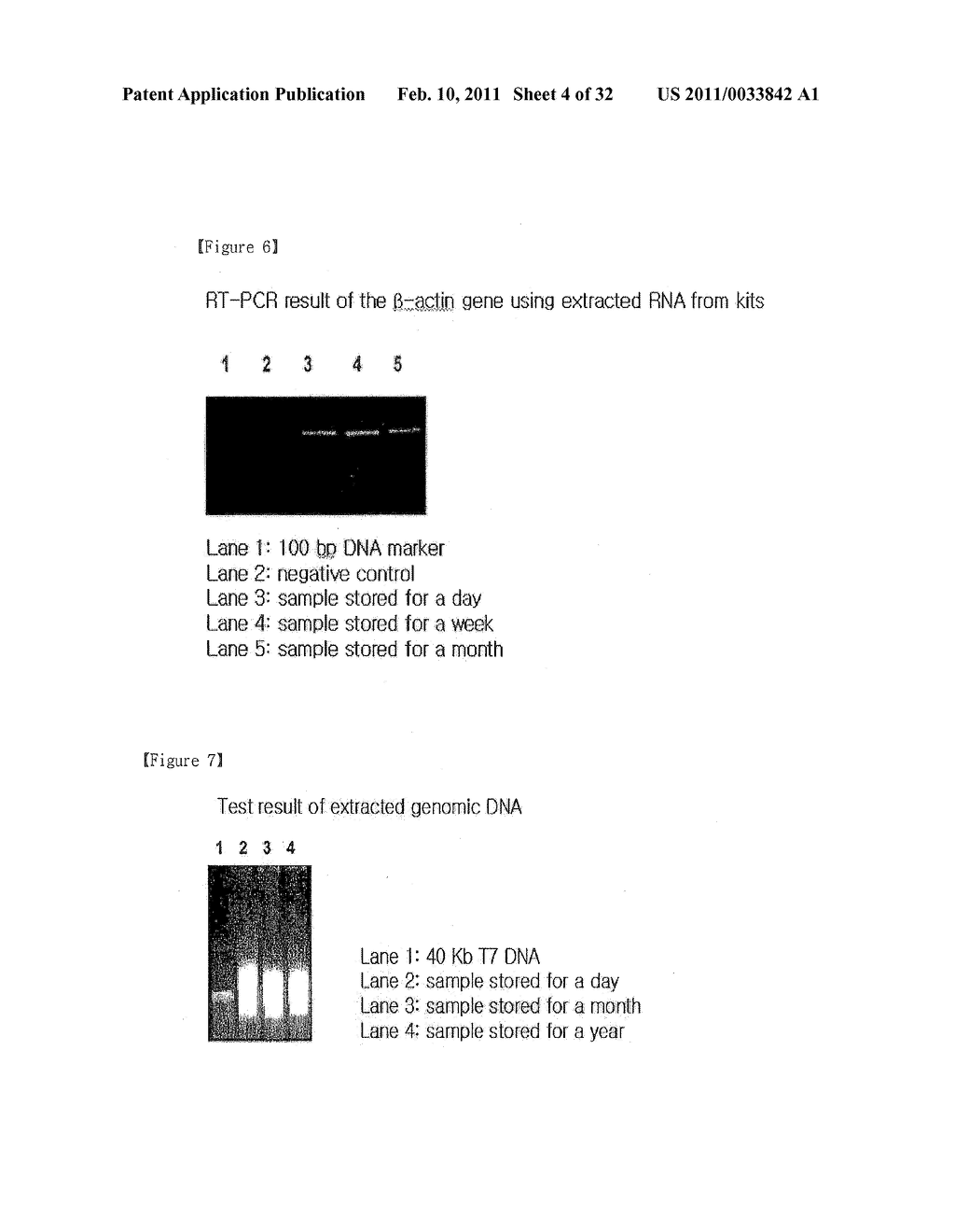  Skin Sampling Kit Which Stores Nucleic Acids In Stable Status, Genetic Test Methods By Using The Kit And Their Practical Application - diagram, schematic, and image 05