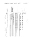 METHOD FOR IN VITRO TESTING OF COMPOUNDS FOR ASSESSING THERAPEUTIC VALUE IN THE TREATMENT OF MULTIPLE SCLEROSIS AND OTHER DISEASES WHEREIN FOAMY CELLS ARE INVOLVED IN THE DISEASE ETIOLOGY diagram and image