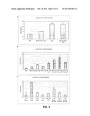 METHOD FOR IN VITRO TESTING OF COMPOUNDS FOR ASSESSING THERAPEUTIC VALUE IN THE TREATMENT OF MULTIPLE SCLEROSIS AND OTHER DISEASES WHEREIN FOAMY CELLS ARE INVOLVED IN THE DISEASE ETIOLOGY diagram and image