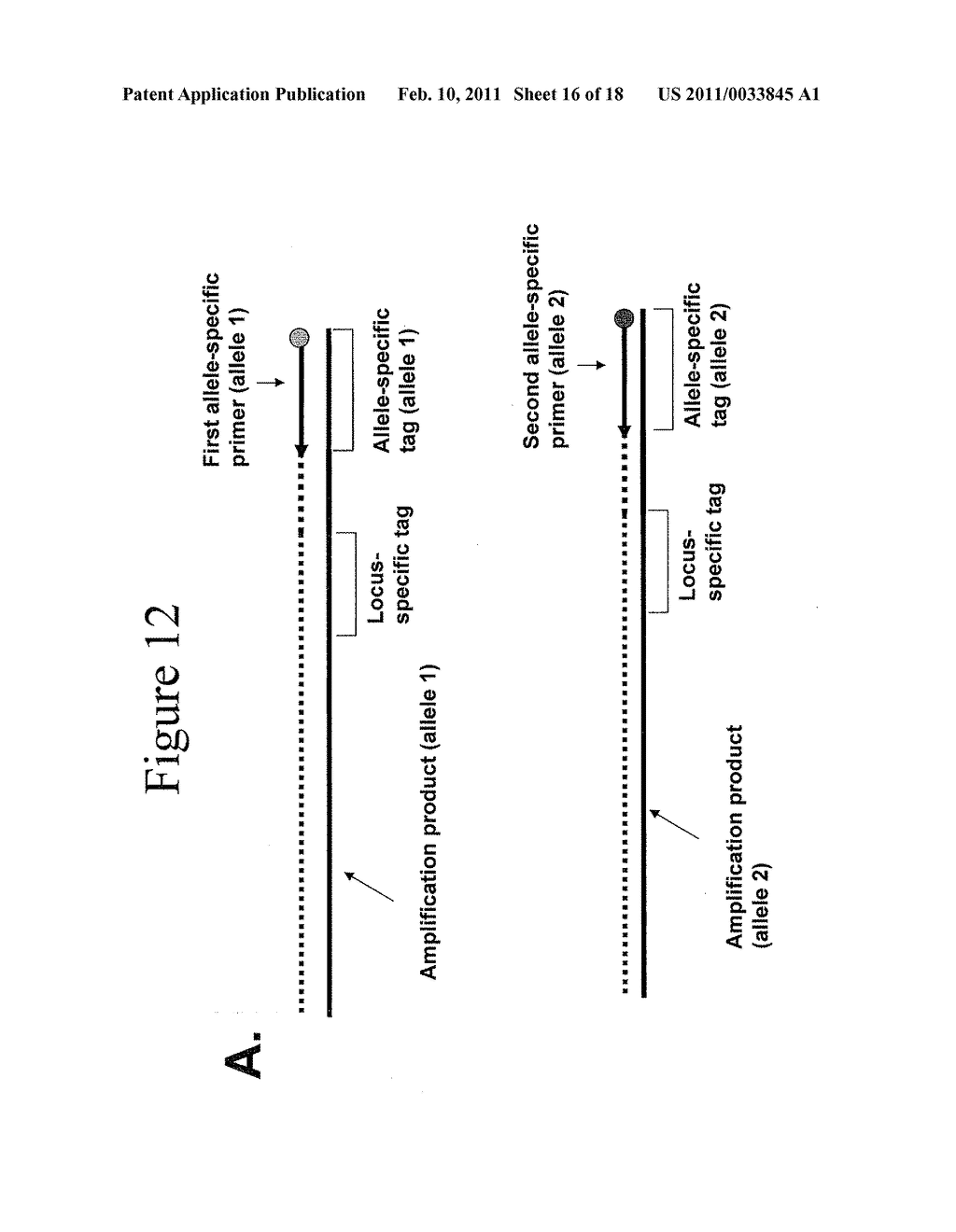 Methods For Amplification of Nucleic Acids Using Spanning Primers - diagram, schematic, and image 17