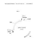 VARIANTS OF THE BACILLUS LICHENIFORMIS ALPHA-AMYLASE diagram and image