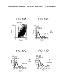 PD-1, A Receptor for B7-4, and Uses Therefor diagram and image