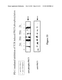 PD-1, A Receptor for B7-4, and Uses Therefor diagram and image