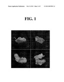 Isolated population of plant single cells and method of preparing same diagram and image