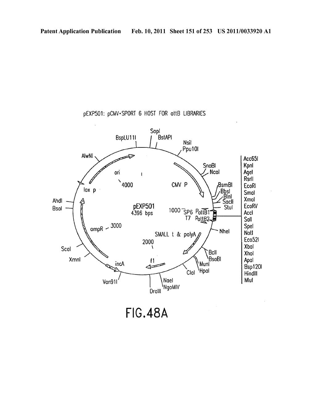 COMPOSITIONS AND METHODS FOR USE IN RECOMBINATIONAL CLONING OF NUCELIC ACIDS - diagram, schematic, and image 152