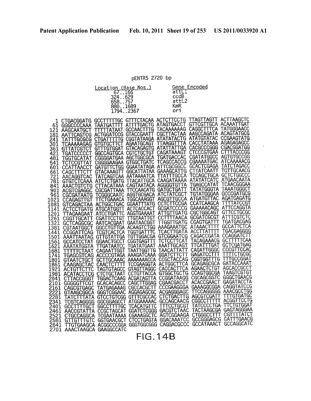 COMPOSITIONS AND METHODS FOR USE IN RECOMBINATIONAL CLONING OF NUCELIC ACIDS - diagram, schematic, and image 20